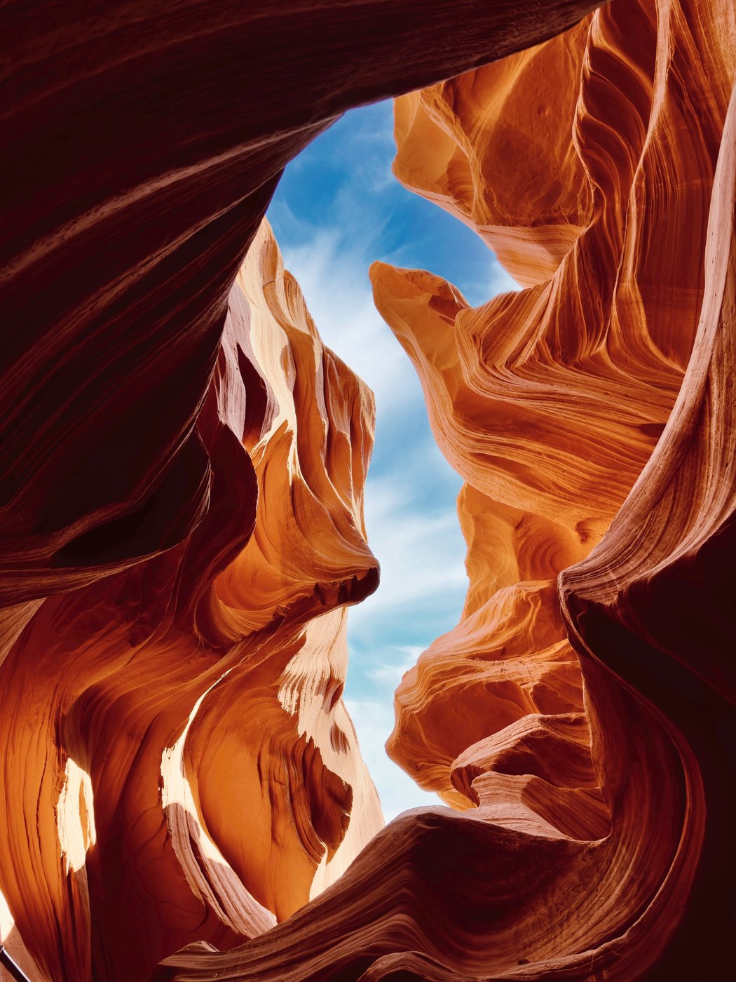 Desert Seahorse, Lower Antelope Canyon